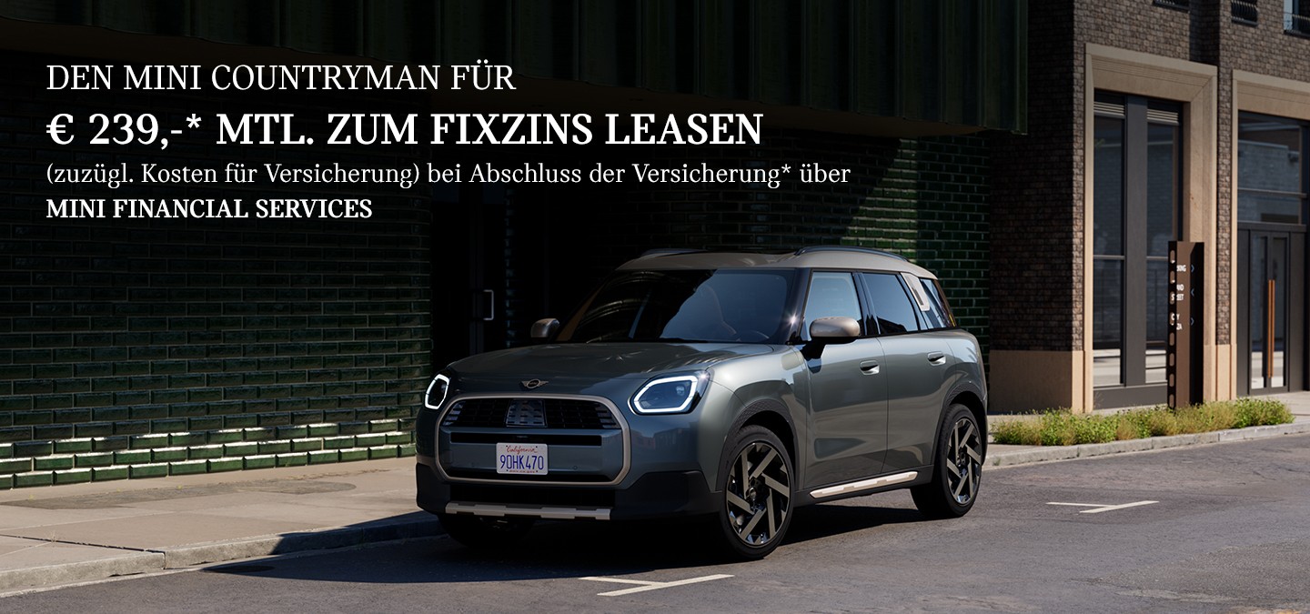 DER MINI COUNTRYMAN